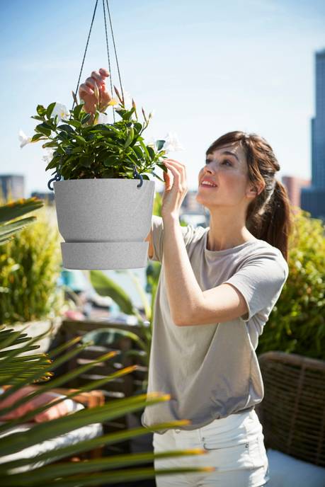 greenville hanging basket 24cm living concrete